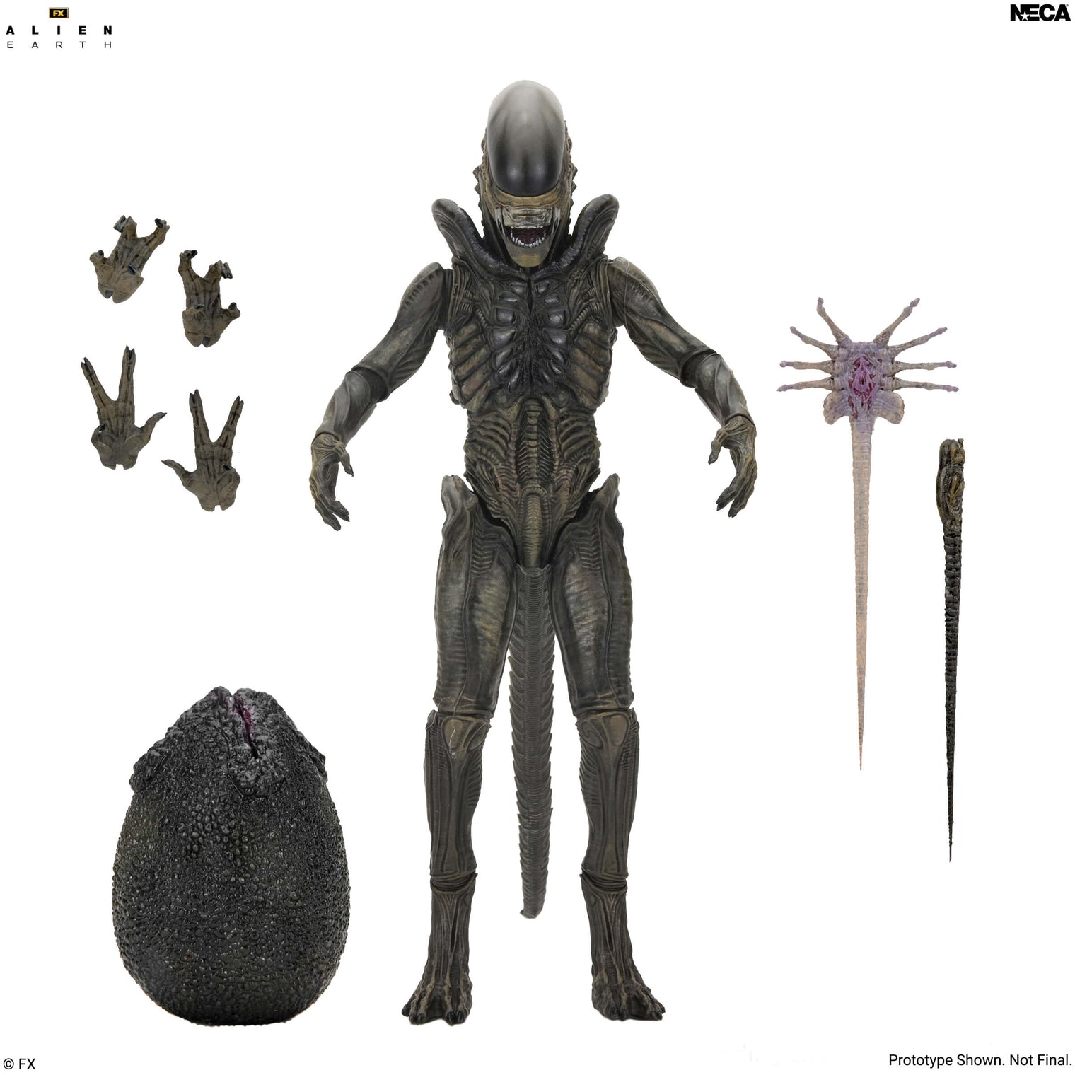 Alien Earth: Ultimate Xenomorph - 7" Scale Figure (Pre-Order)