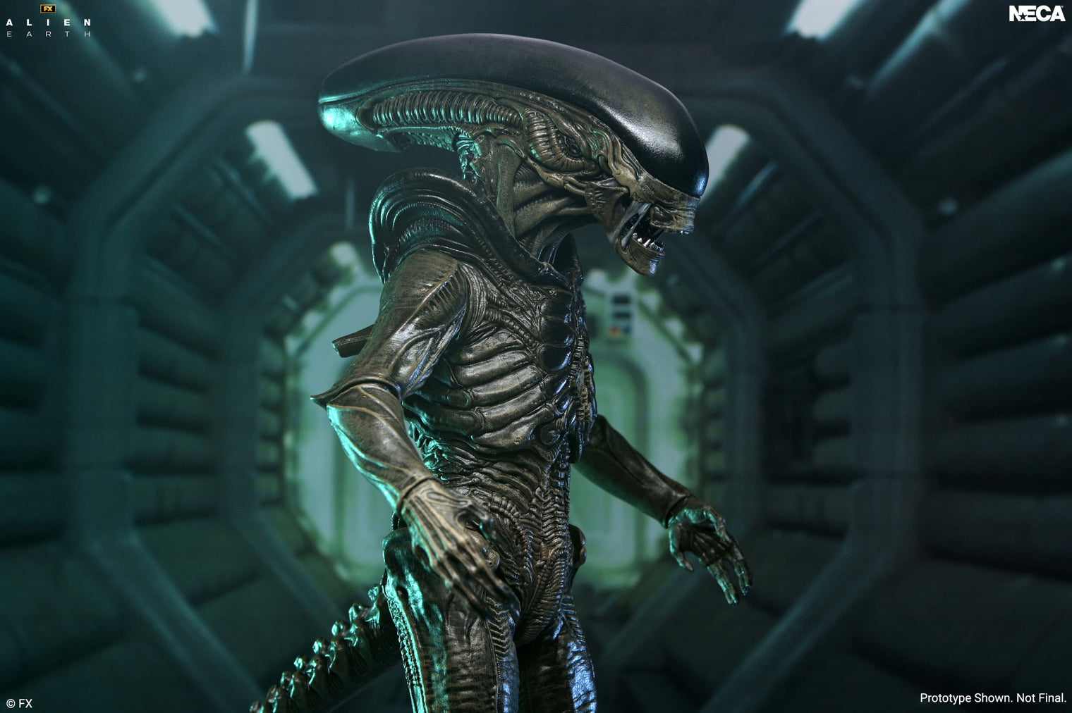 Alien Earth: Ultimate Xenomorph - 7" Scale Figure (Pre-Order)