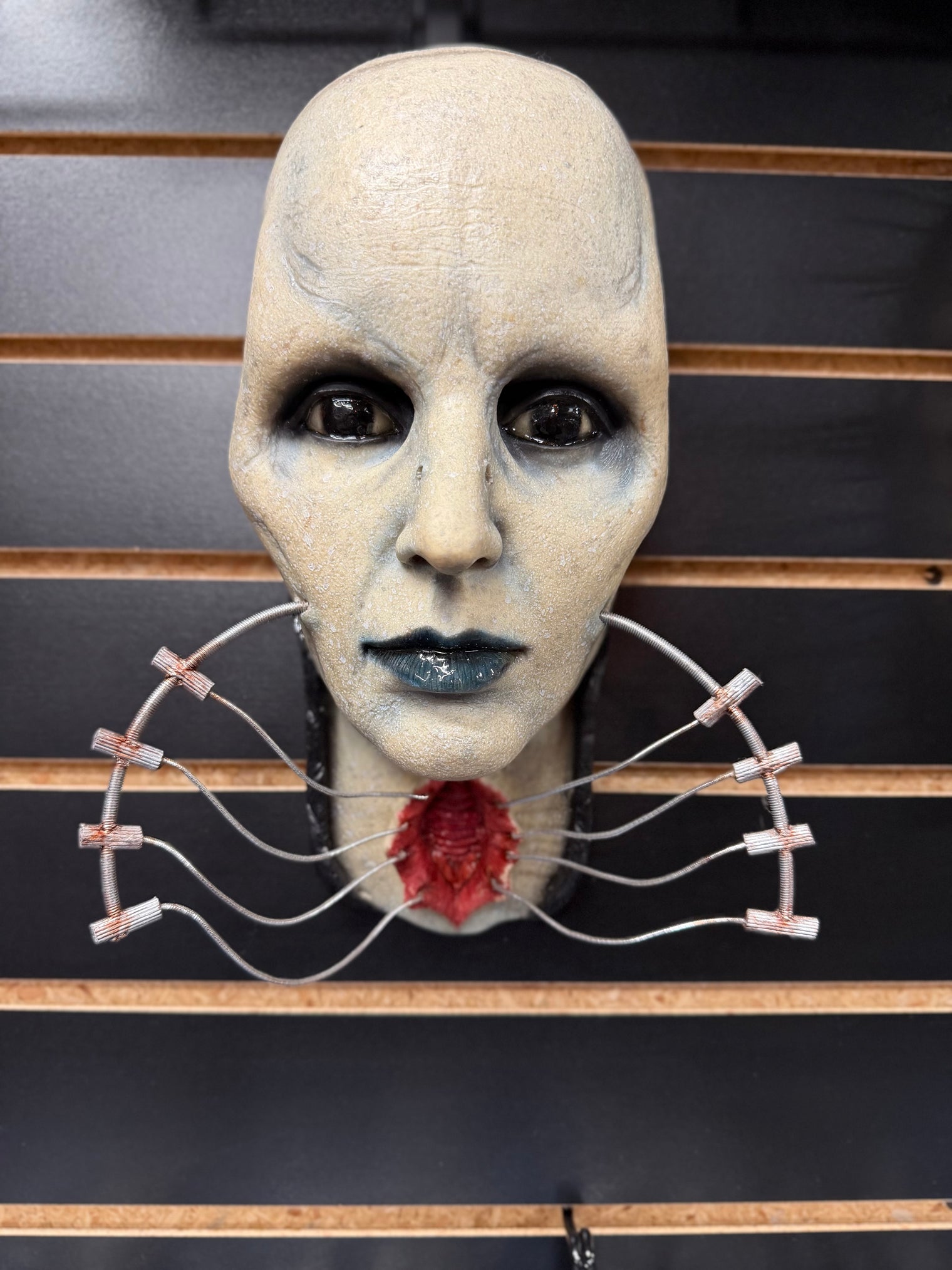 Hellraiser: Female Cenobite - Gary Tunnifcliffe Wall Hanger