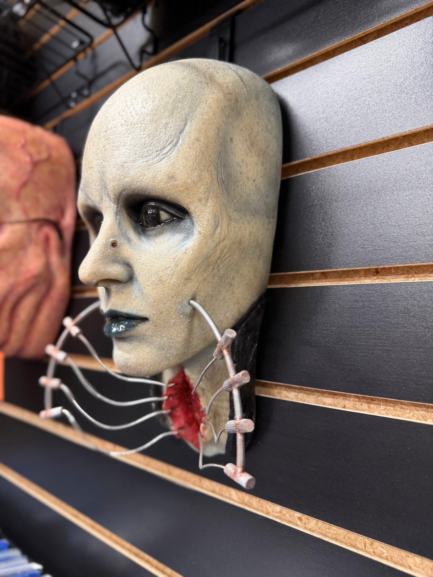 Hellraiser: Female Cenobite - Gary Tunnifcliffe Wall Hanger