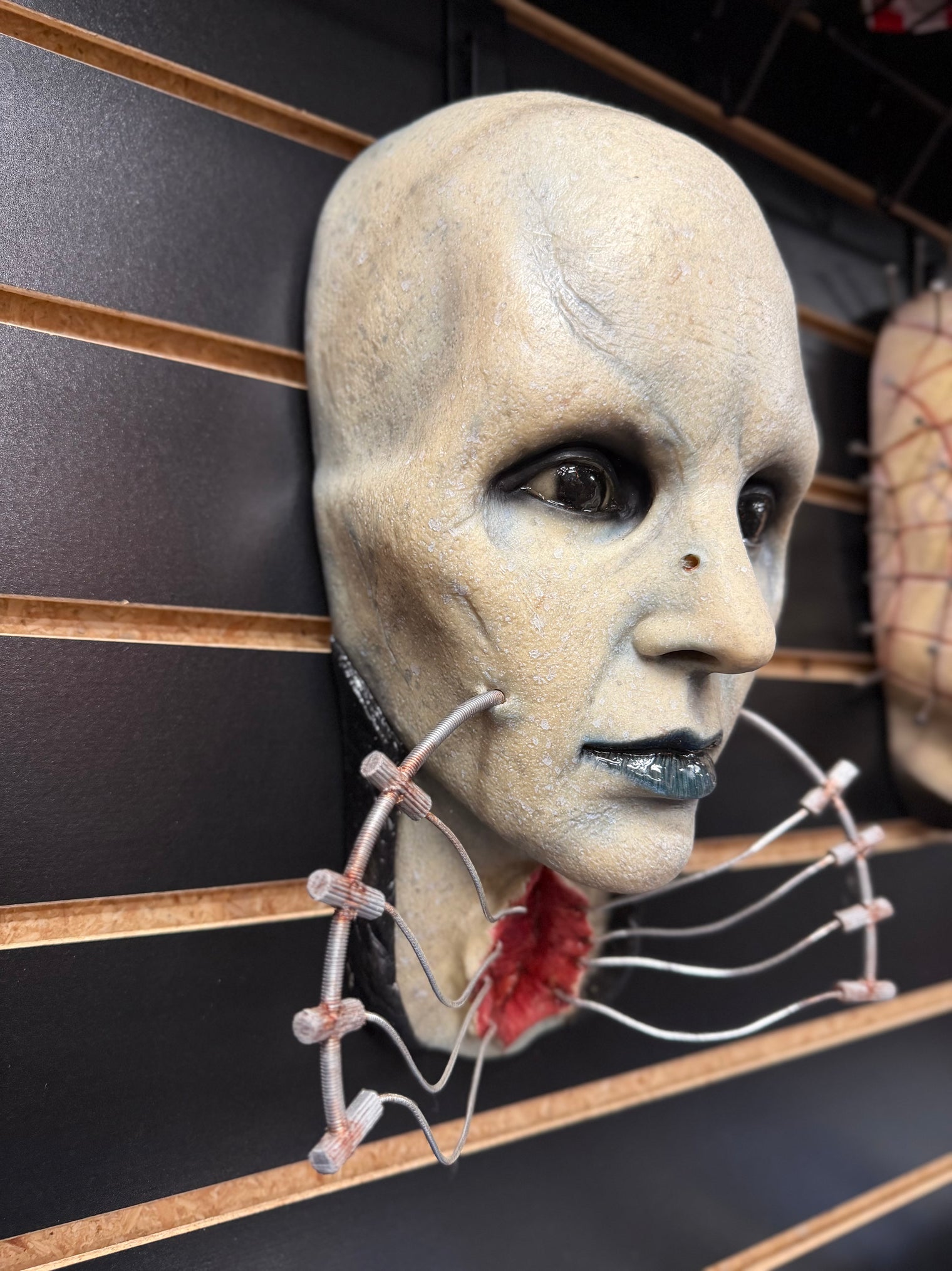 Hellraiser: Female Cenobite - Gary Tunnifcliffe Wall Hanger