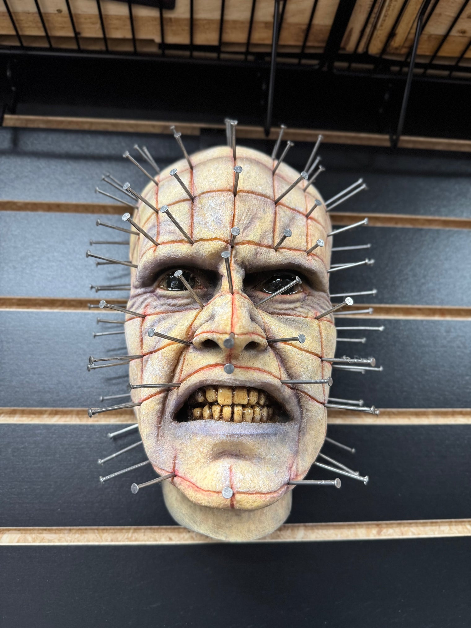 Hellraiser: Pinhead - Gary Tunnifcliffe Wall Hanger