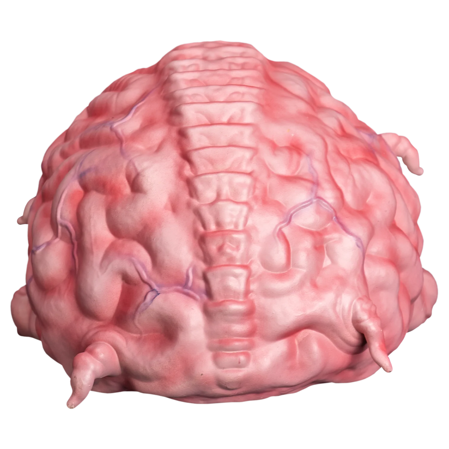 TMNT: Krang Prop 1:1