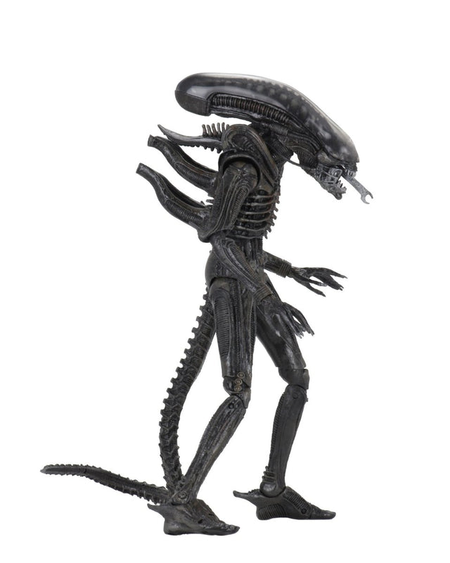 Alien: Big Chap (40th Anniversary) - 7" Scale Action Figure - NECA