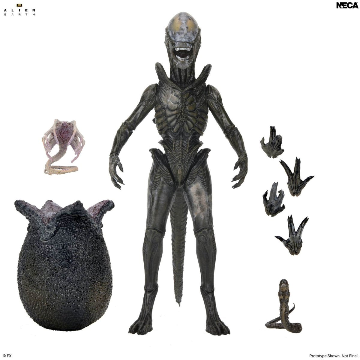 Alien Earth: Ultimate Wendy's Xenomorph - 7" Scale Figure (Pre-Order) - NECA