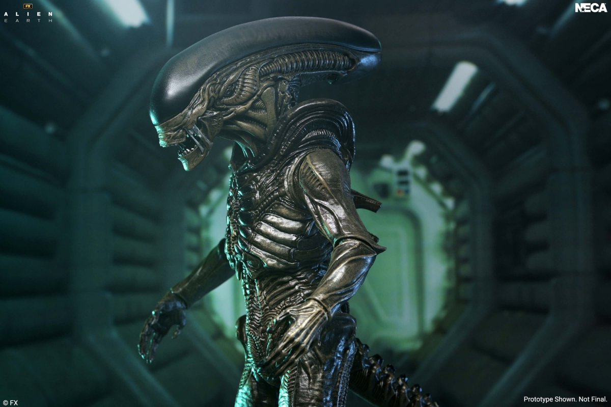 Alien Earth: Ultimate Xenomorph - 7" Scale Figure (Pre-Order) - NECA