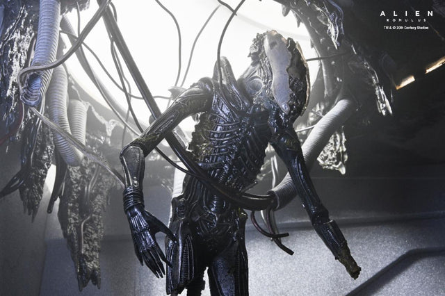 Alien: Romulus: Deluxe Suspended Lab Xenomorph XX121 - 7" Scale Figure - NECA