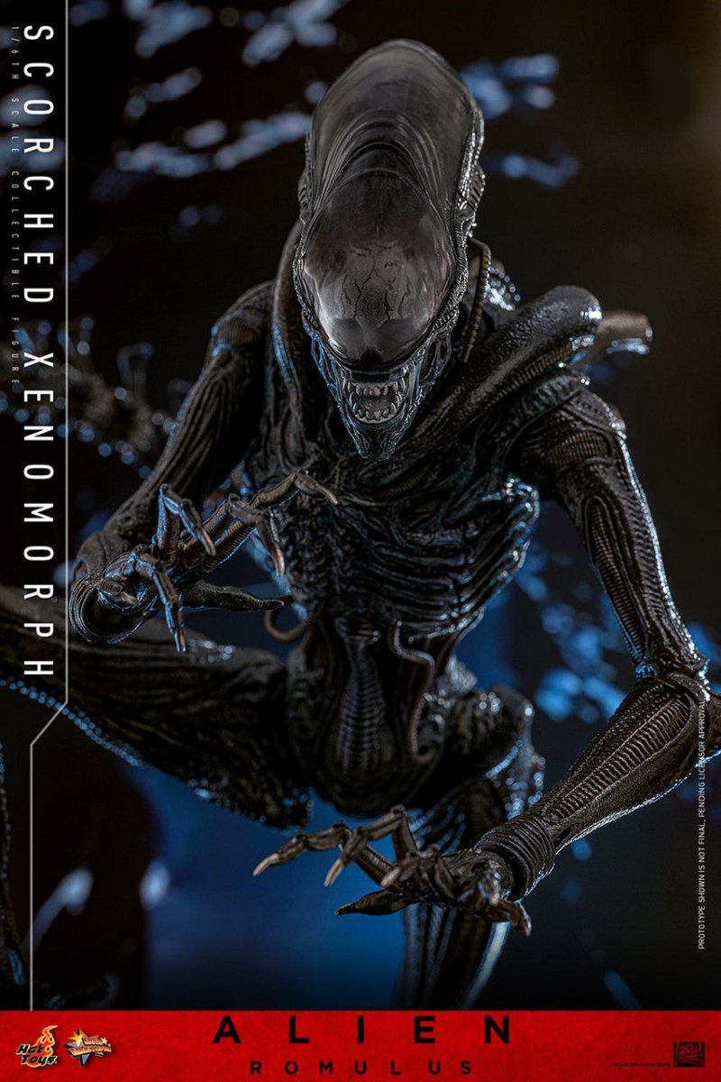 Alien Romulus: Scorched Xenomorph - 1/6 Scale Figure - The Last Toy Store