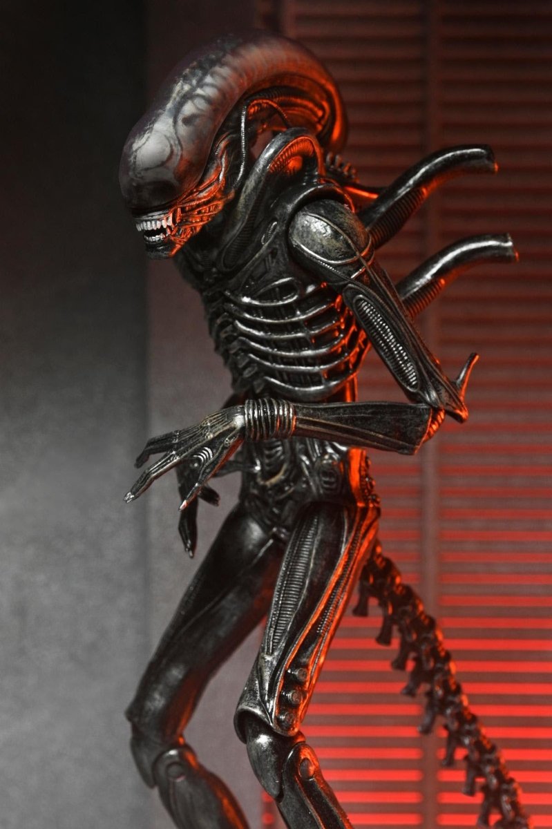 Alien Romulus: Ultimate Xenomorph XX121 - 7" Scale Figure - The Last Toy Store