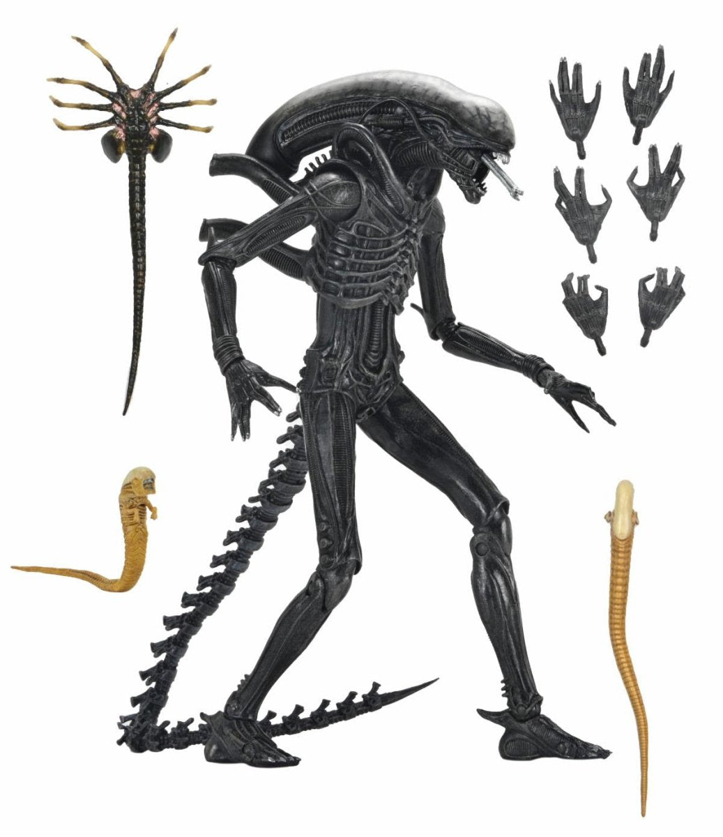 Alien Romulus: Ultimate Xenomorph XX121 - 7" Scale Figure - The Last Toy Store