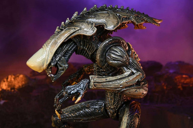 Alien Vs Predator: Chrysalis Alien (Movie Deco) - The Last Toy Store