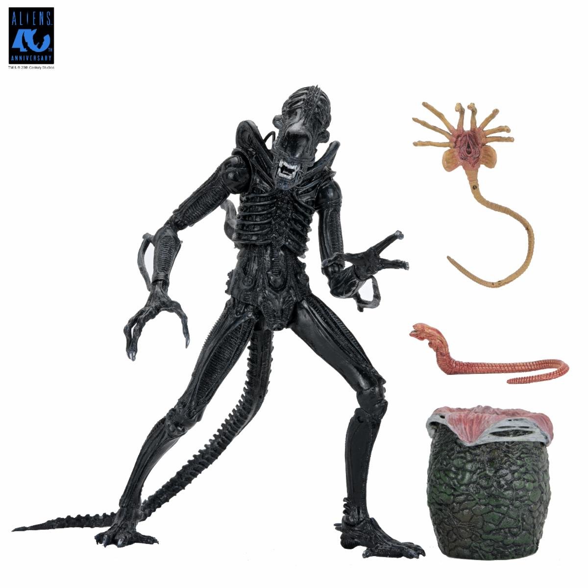 Aliens (40th Anniversary): Ultimate Warrior Xenomorph - 7" Scale Figure - NECA