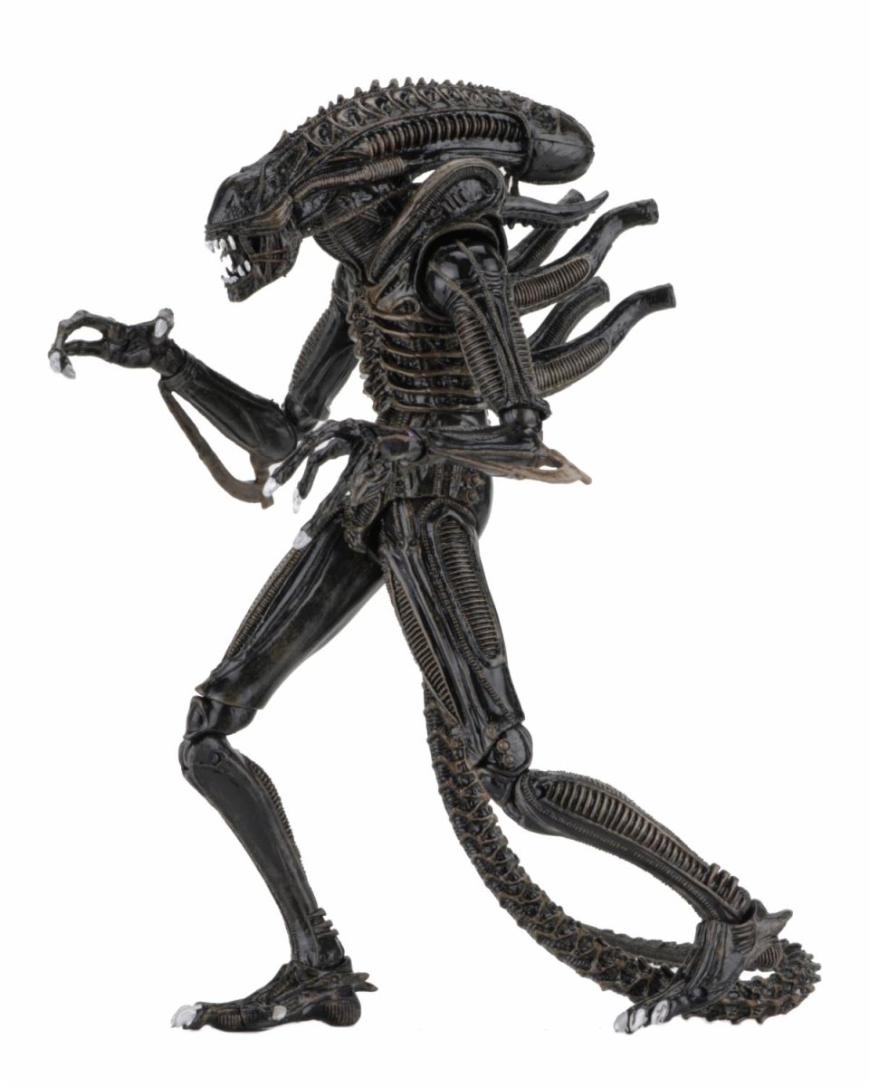 Aliens: Ultimate Brown Warrior - 7" Scale Figure - NECA