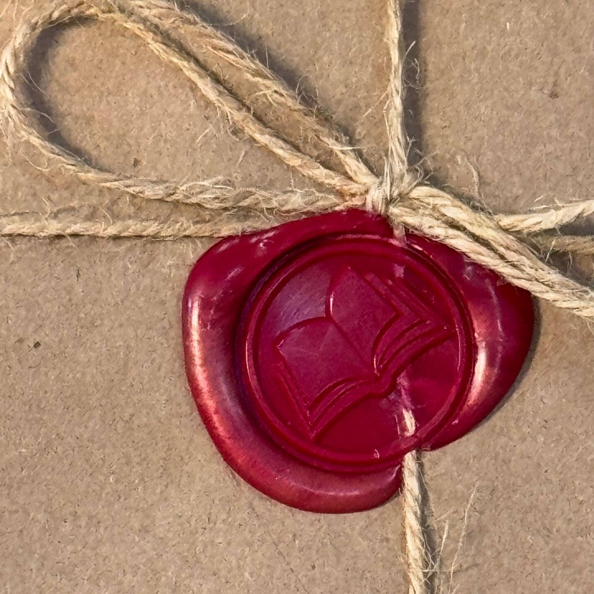 Blind Date With a Book - HORROR - I Love Books and Bows