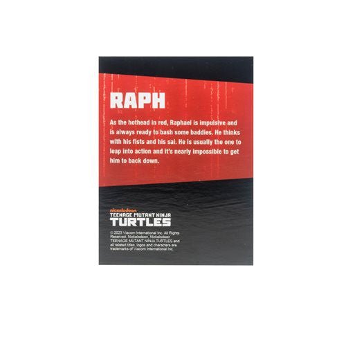 BST AXN TMNT: IDW Comics (Black & White) Turtle 4 Pack - SDCC 2023 Exclusive - The Last Toy Store