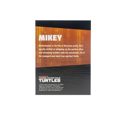 BST AXN TMNT: IDW Comics (Black & White) Turtle 4 Pack - SDCC 2023 Exclusive - The Last Toy Store