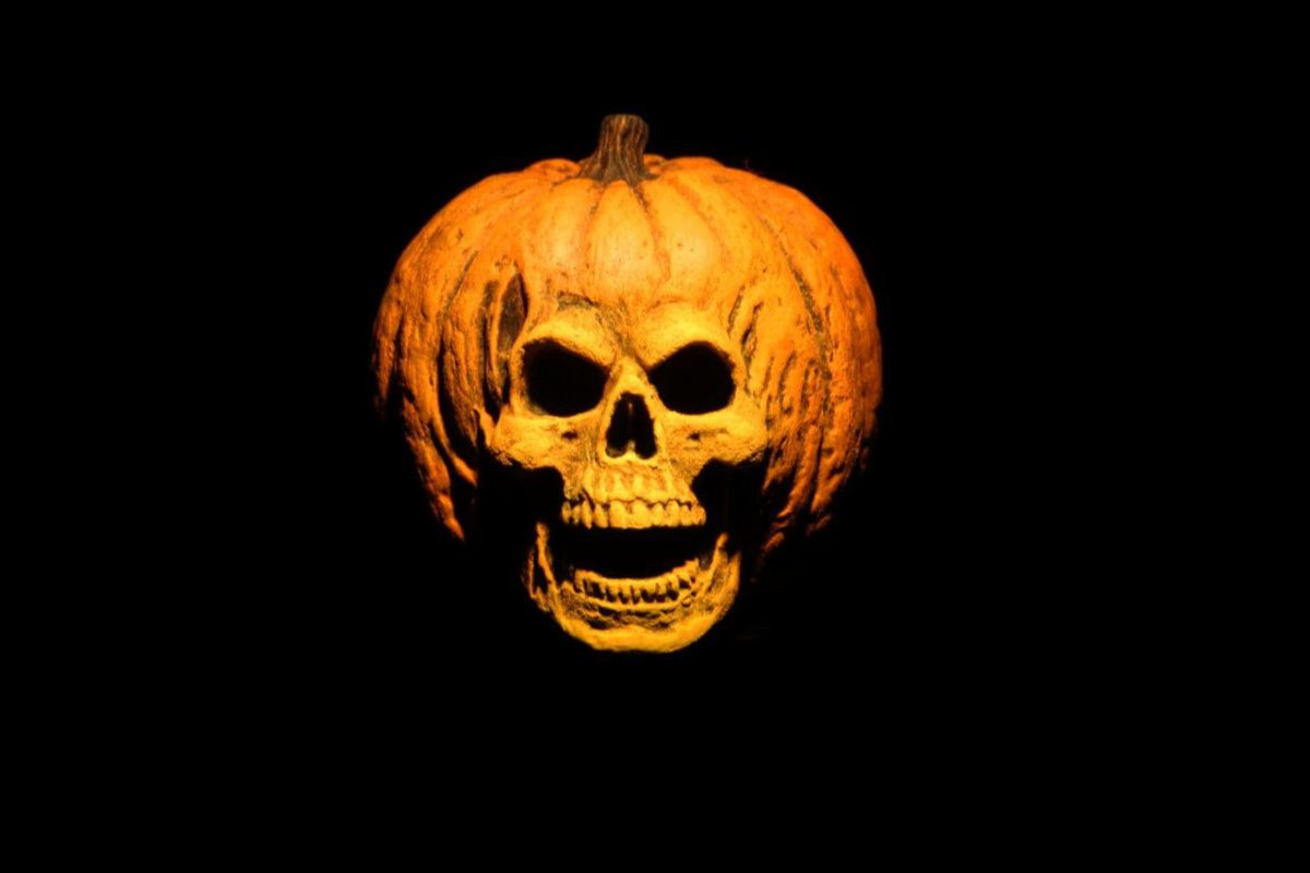 Halloween II (1981): Doctor Loomis and Laurie Strode Clothed Action Figure (2 - Pack) - 8" Scale - NECA