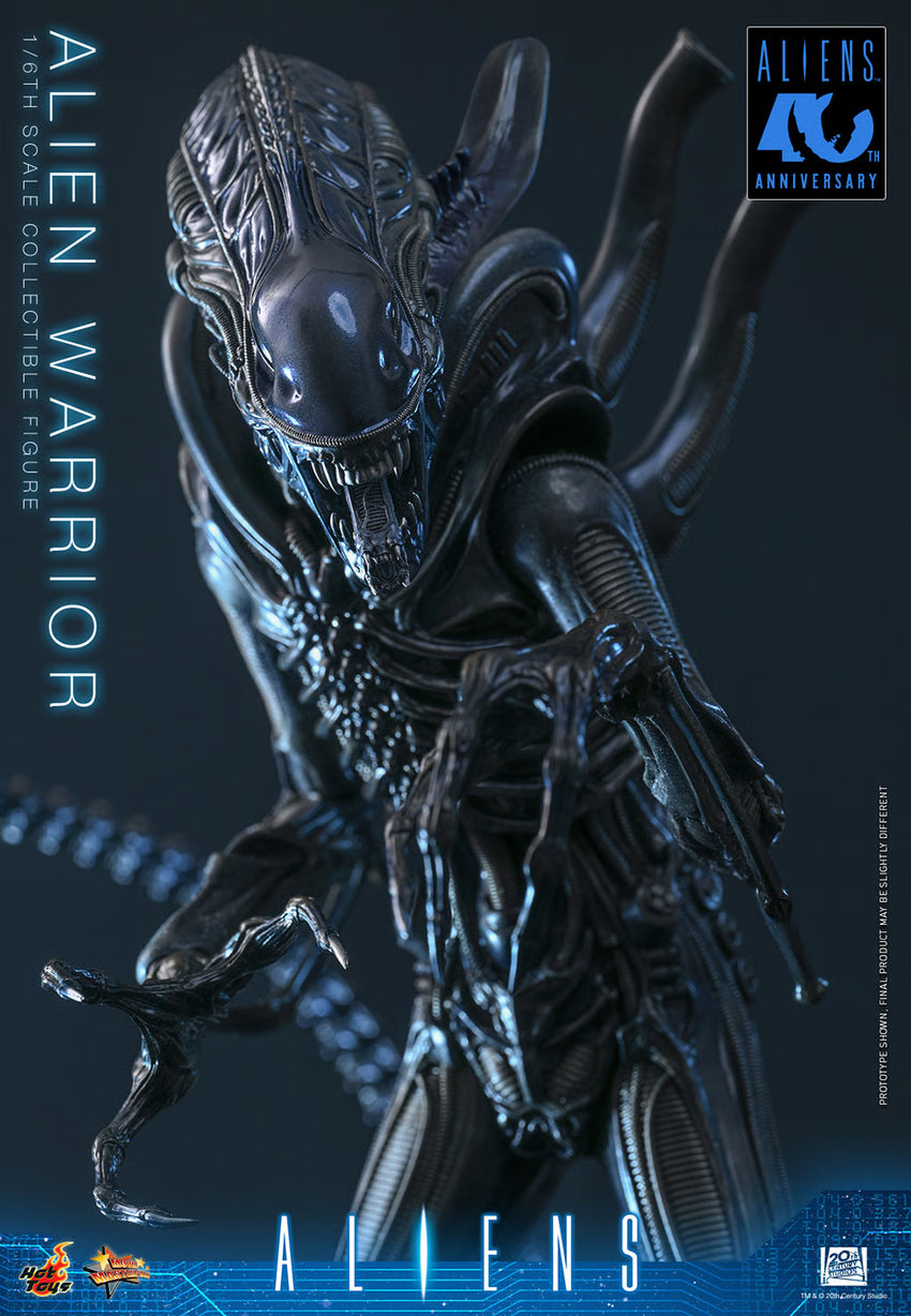 Aliens: Alien Warrior - 1/6 Scale Figure (Pre-Order)