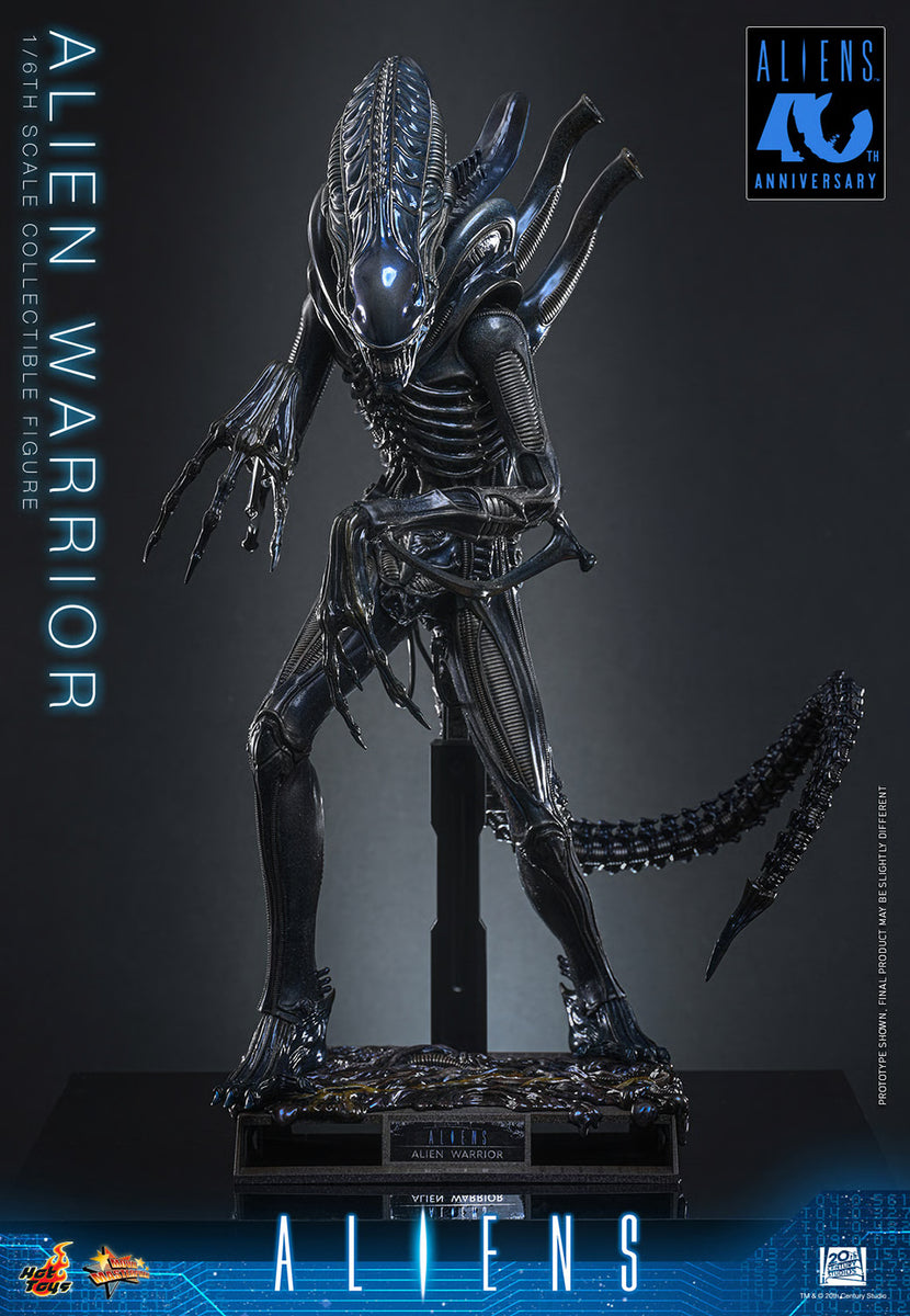 エイリアンALIEN WARRIOR 1/6スケール フィギュア Aliens: Alien Warrior - 1/6 Scale Figure (Pre-Order) – The Last