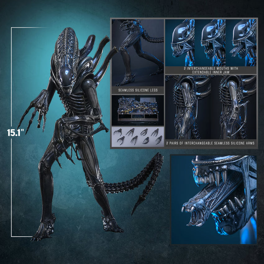 Aliens: Alien Warrior - 1/6 Scale Figure (Pre-Order)