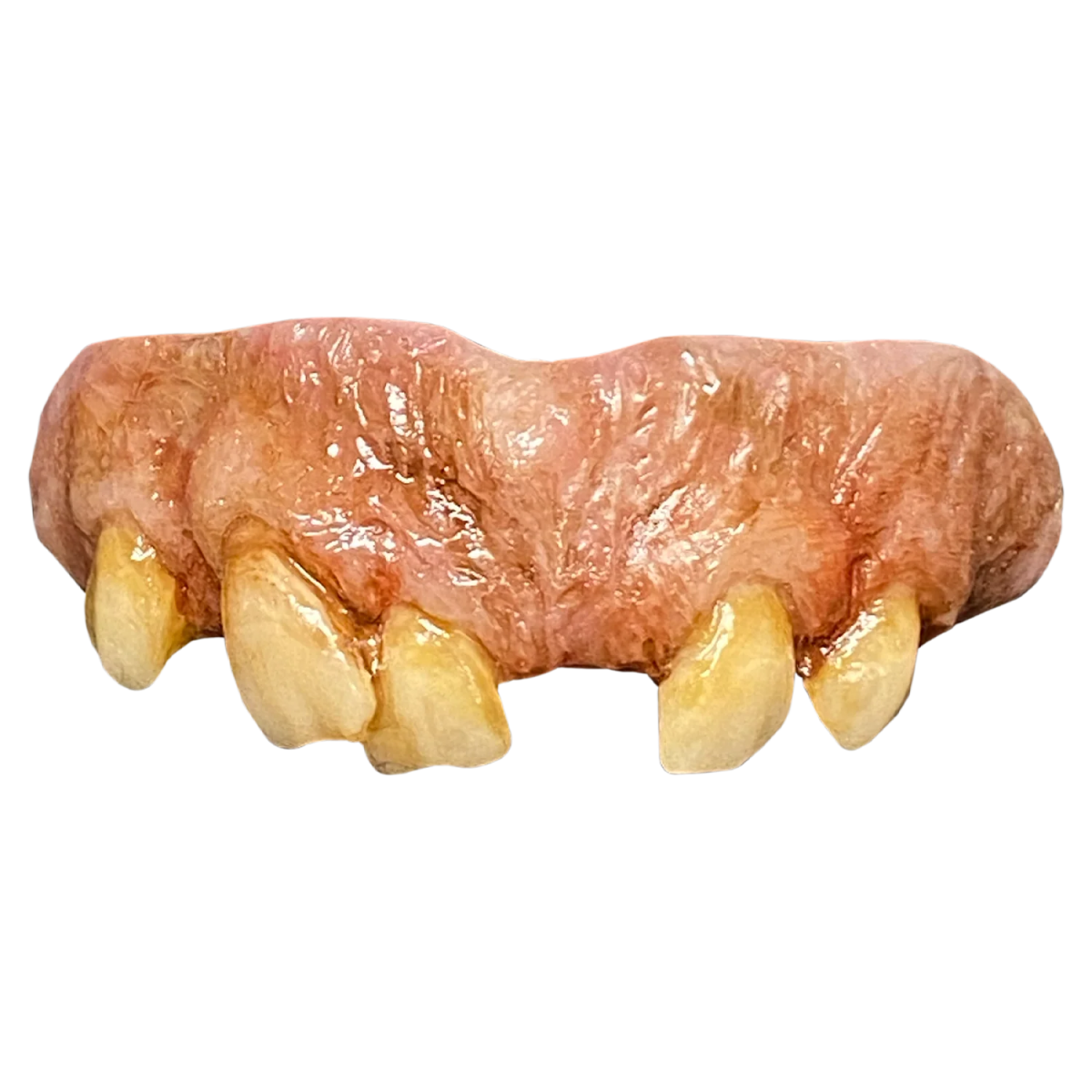 The Texas Chainsaw Massacre (Part 2) - Leatherface Teeth - Trick or Treat Studios