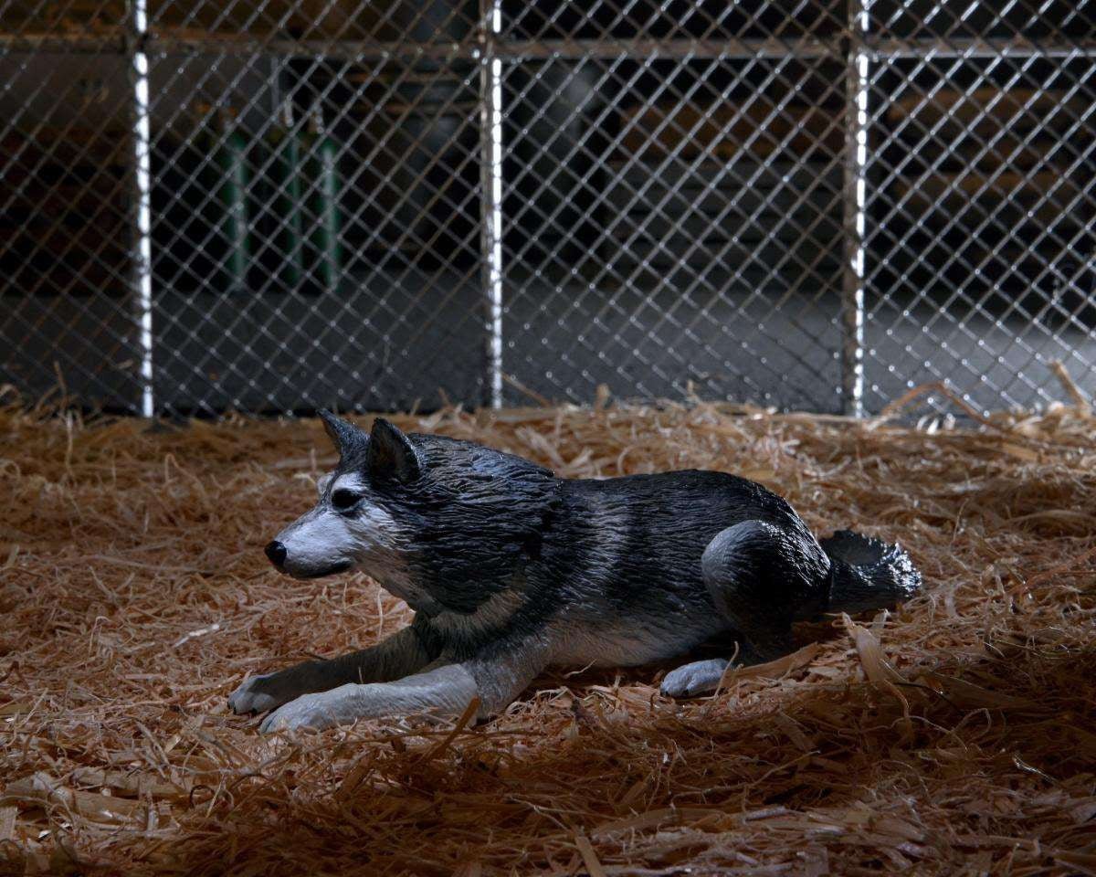 The Thing: Ultimate Deluxe Thing Dog - 7" Scale Action Figure - The Last Toy Store