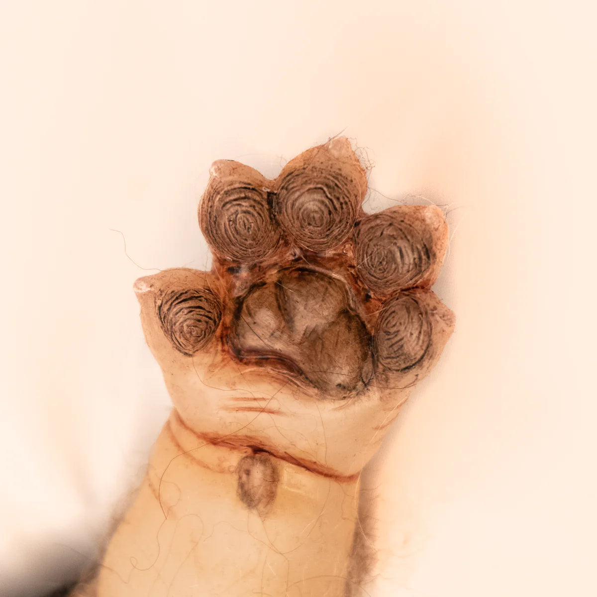 WerePups: Toby - Silicone Weighted WerePup