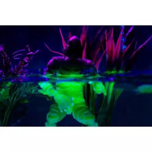 Universal Monsters: Creature from the Black Lagoon (Glow in the Dark) - 6" Action Figure - The Last Toy Store