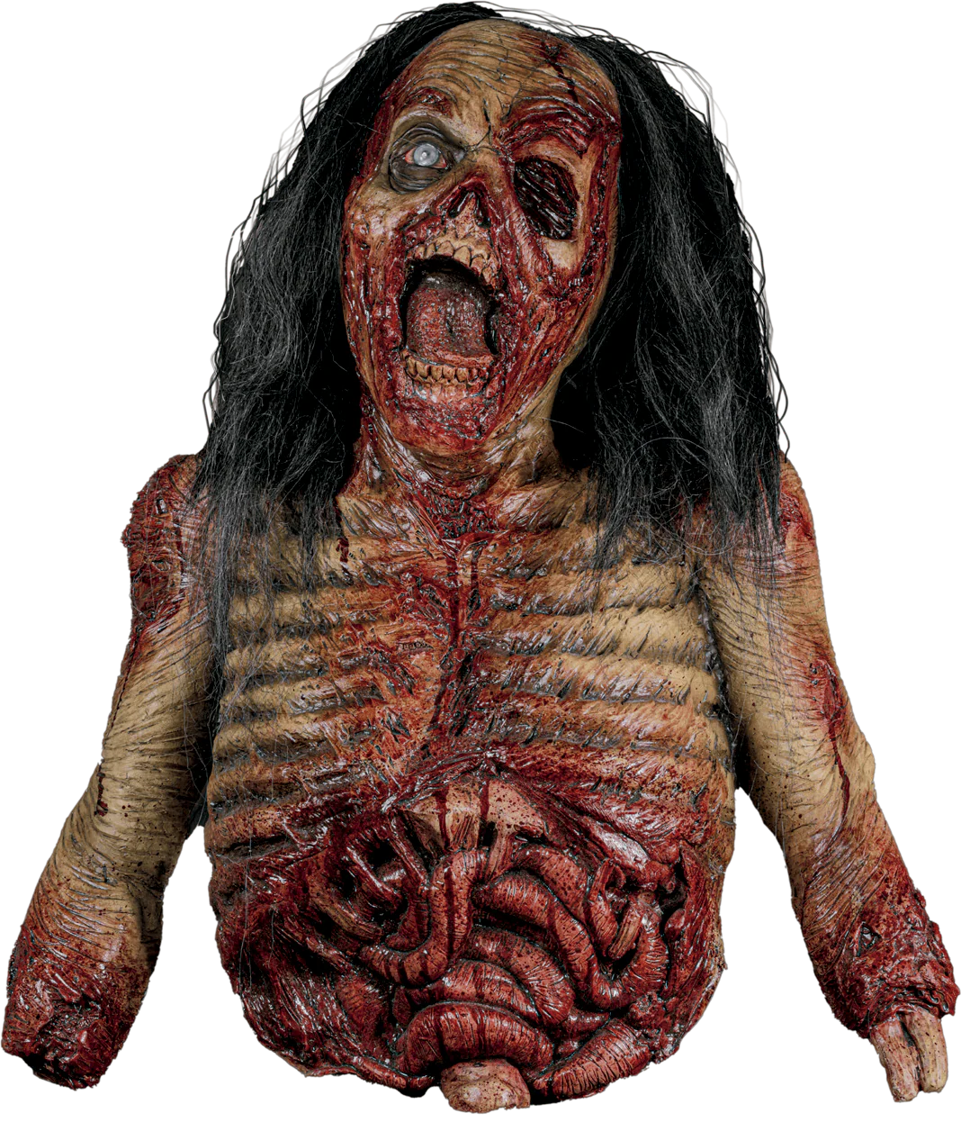 Zombie Corpse - Foam Filled Latex Prop