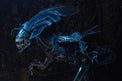 NECA Alien: Alien Queen Ultra Deluxe Actin Figure