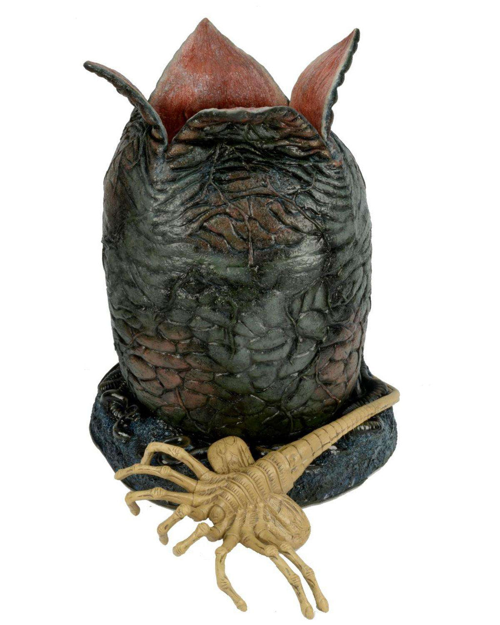 NECA Alien: Egg and Facehugger - Foam and Latex Prop Replica with LED Lights