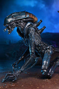 NECA Alien Vs Predator: Arachnoid Alien (Movie Deco)