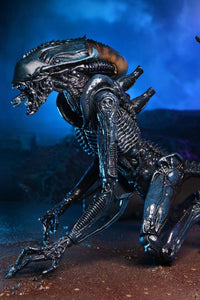 NECA Alien Vs Predator: Arachnoid Alien (Movie Deco)