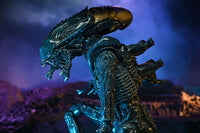 NECA Alien Vs Predator: Arachnoid Alien (Movie Deco)