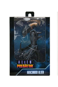 NECA Alien Vs Predator: Arachnoid Alien (Movie Deco)