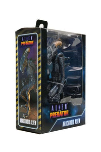 NECA Alien Vs Predator: Arachnoid Alien (Movie Deco)