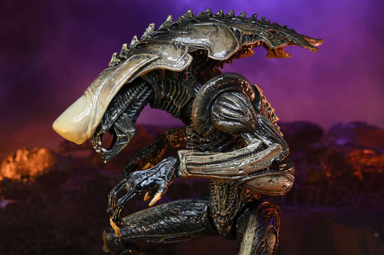 NECA Alien Vs Predator: Chrysalis Alien (Movie Deco)