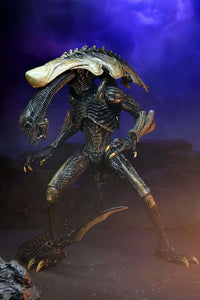 NECA Alien Vs Predator: Chrysalis Alien (Movie Deco)