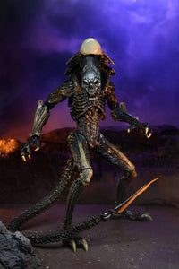 NECA Alien Vs Predator: Chrysalis Alien (Movie Deco)