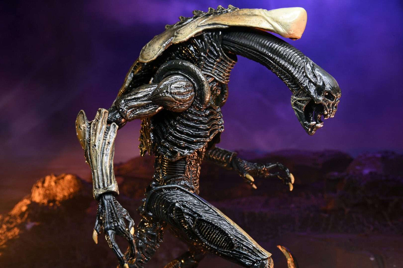 NECA Alien Vs Predator: Chrysalis Alien (Movie Deco)