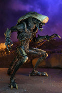 NECA Alien Vs Predator: Chrysalis Alien (Movie Deco)