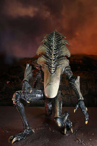 NECA Alien Vs Predator: Chrysalis Alien (Movie Deco)