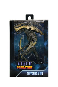 NECA Alien Vs Predator: Chrysalis Alien (Movie Deco)