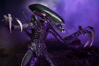 NECA Alien Vs Predator: Razor Claws Alien (Movie Deco)