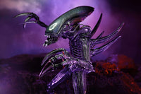 NECA Alien Vs Predator: Razor Claws Alien (Movie Deco)