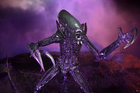 NECA Alien Vs Predator: Razor Claws Alien (Movie Deco)