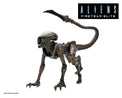 NECA Aliens: Runner Alien (Fireteam Elite) 7'' Scale Action Figure