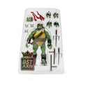 The Loyal Subjects BST AXN TMNT: Raphael (IDW Comic Heroes) - 5" Action Figure