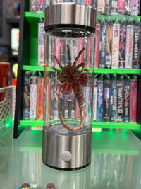 Alien Facehugger - Light Up Specimen Jar