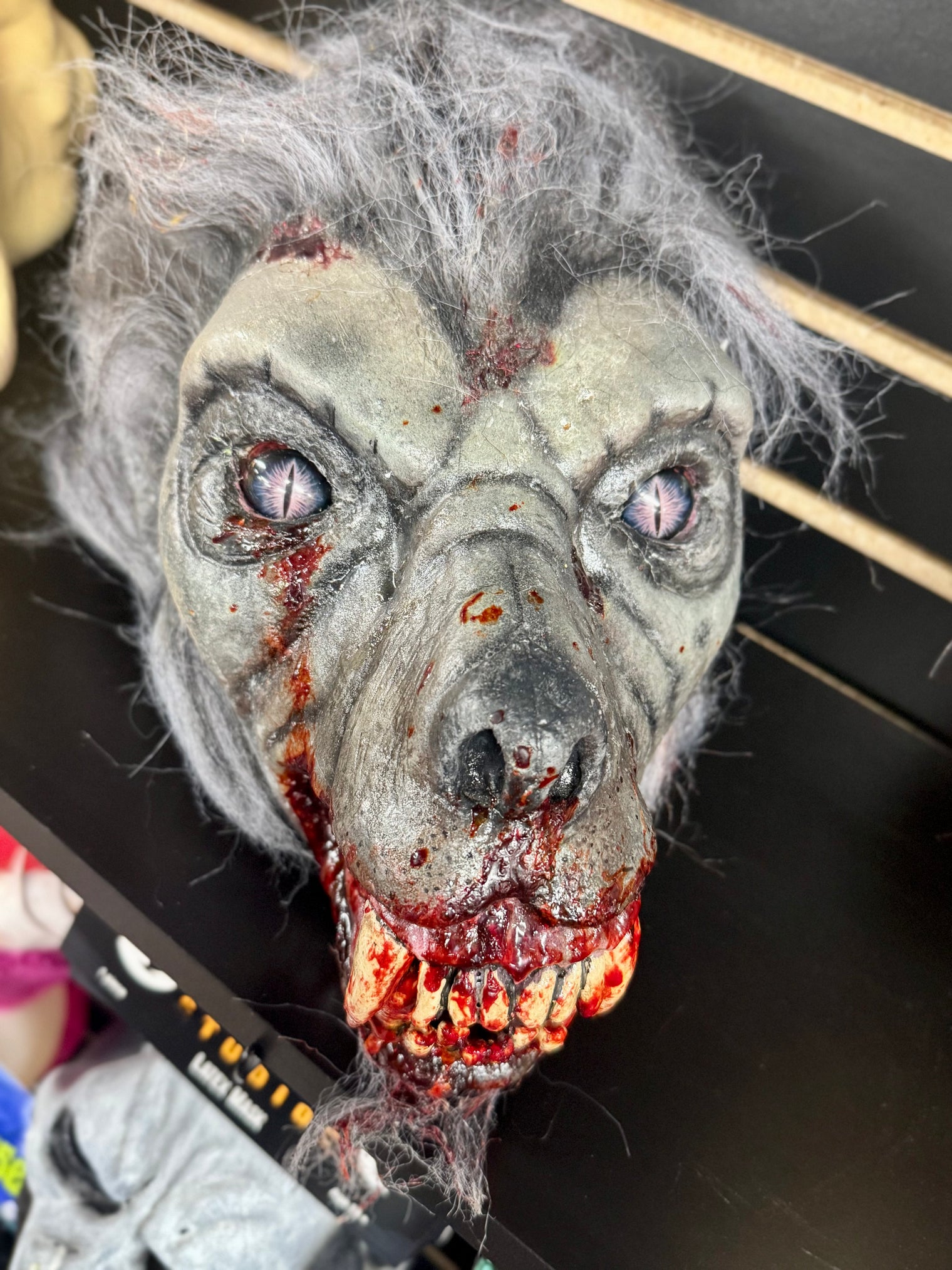 Werewolf - Prop Head